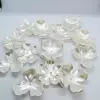 diy pearl flower plastic Korean-style three-dimensional petal hair accessory, hand accessory, corsage, wedding bride accessory, ins Item Picture